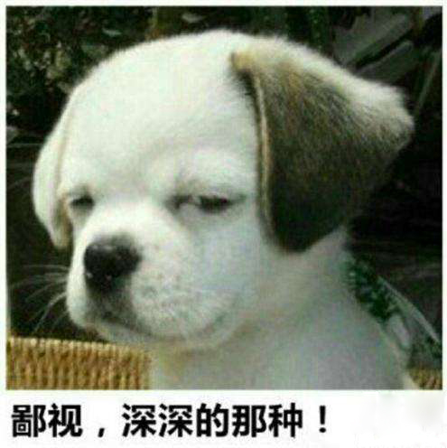做二手车遇见的极品,真是哭笑不能！